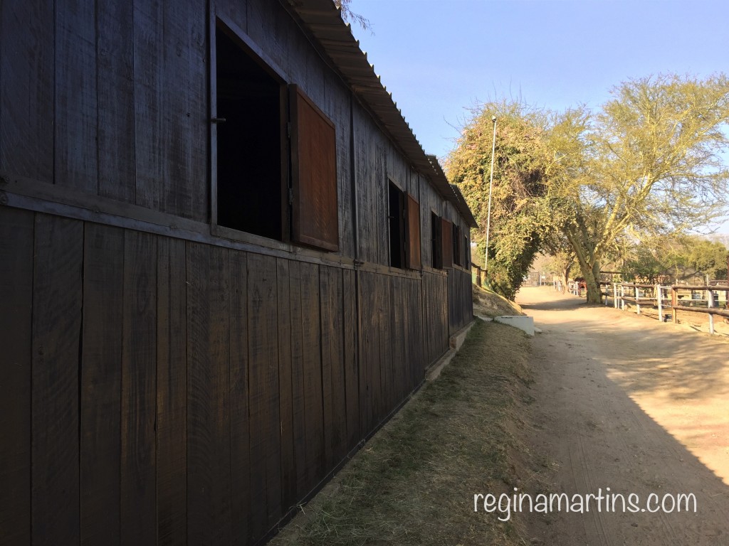 A long line of timber stables © Regina Martins