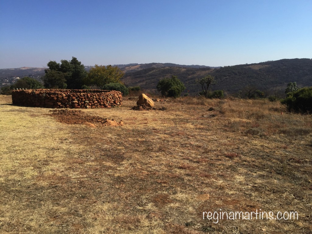 The dry brown veld of the southern hills of Joburg © Regina Martins